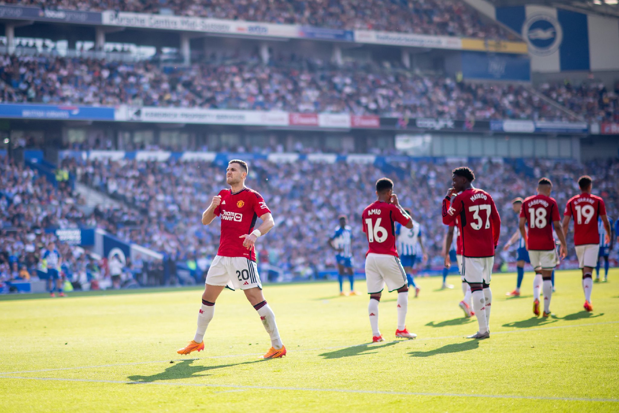 森的核心球 森的核心球